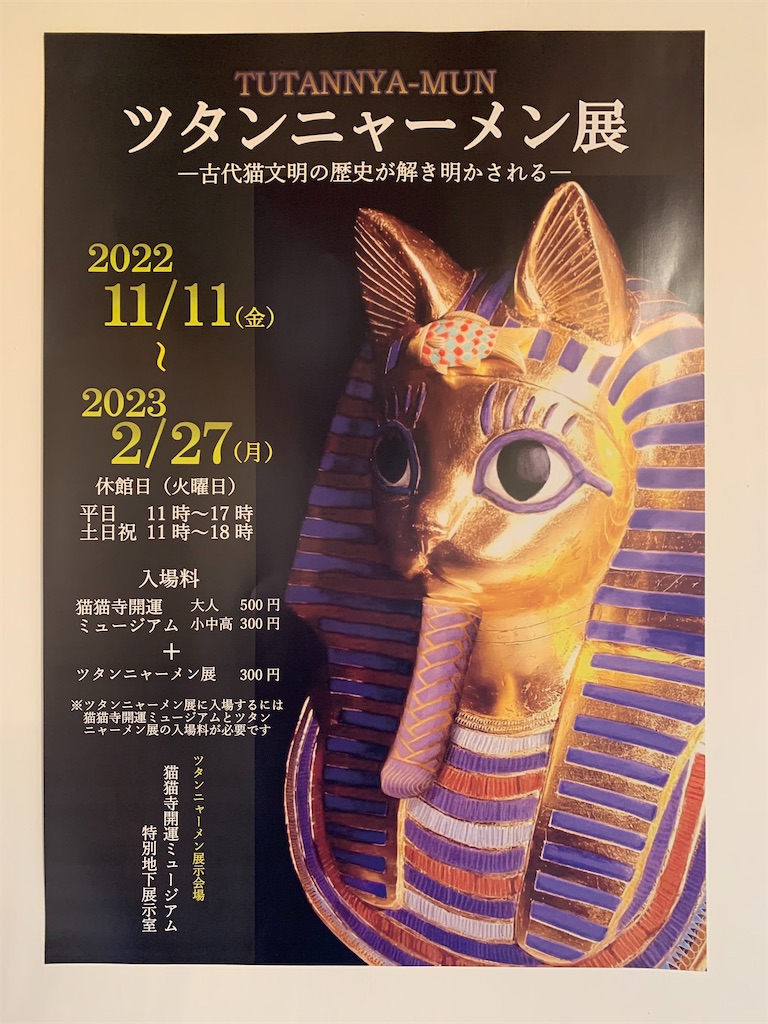 f:id:ateliersoleil:20221109145535j:image