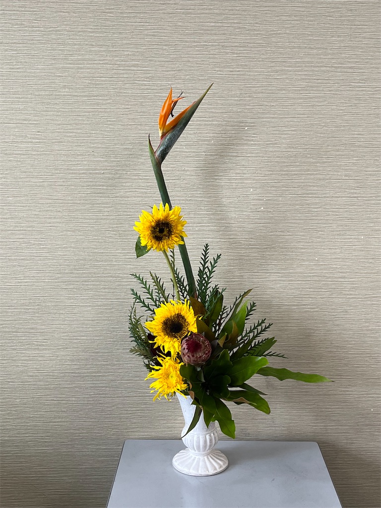 f:id:ateliersoleil:20230625094803j:image