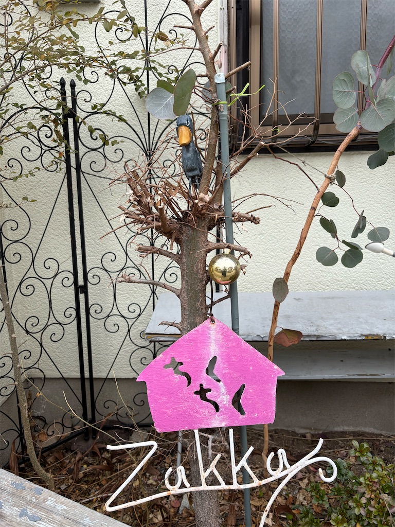 f:id:ateliersoleil:20250219094054j:image