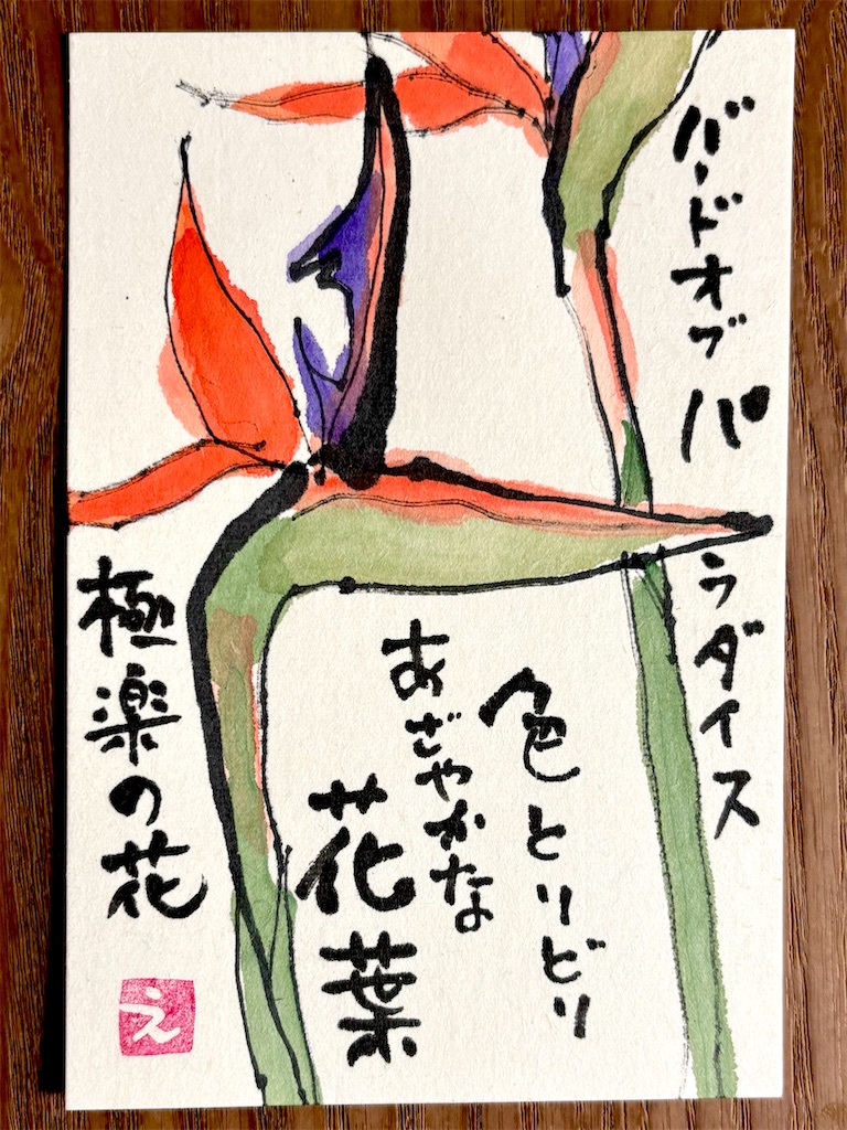 f:id:ateliersoleil:20260206090128j:image