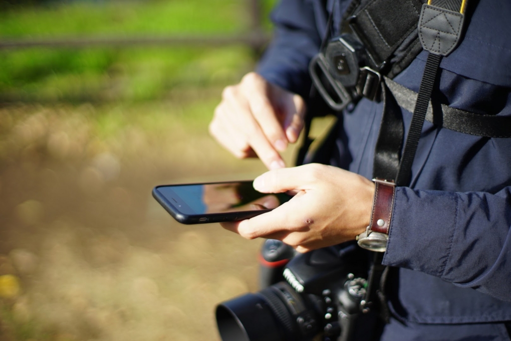 f:id:aterato:20161126121824j:plain