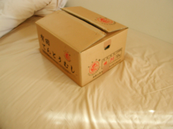 f:id:athemus99:20091110000123j:image
