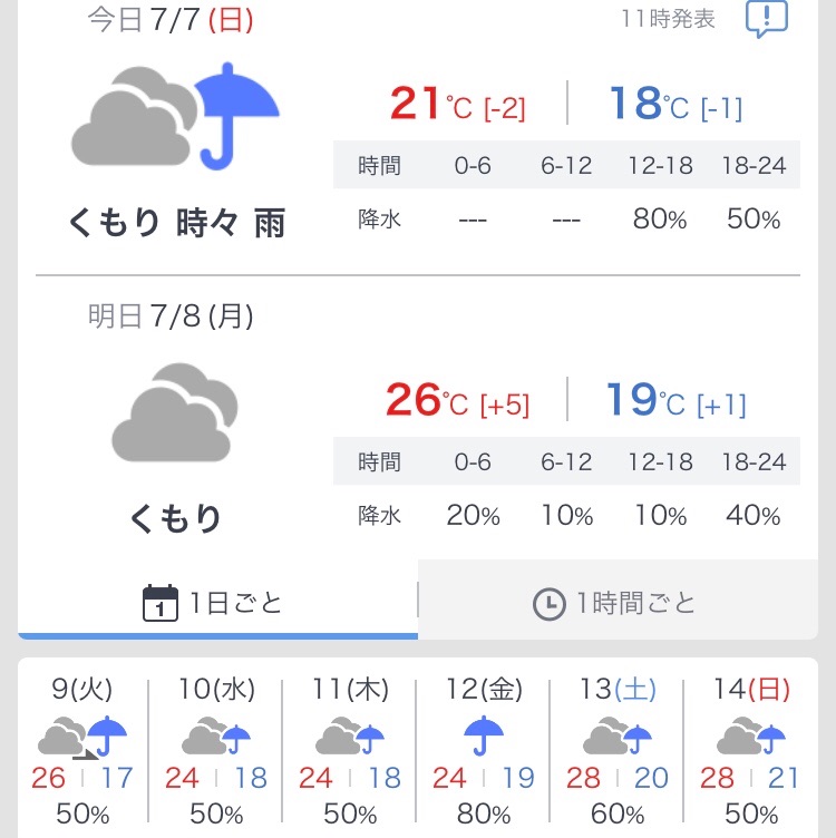 リトープスの梅雨の水やり あの人さんの趣味の備忘録