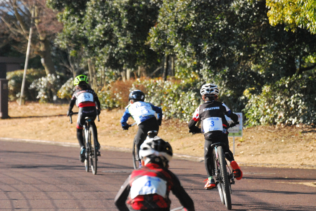 f:id:athletune:20170206150318j:plain