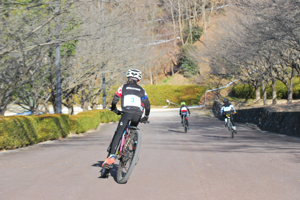 f:id:athletune:20170206151159j:plain