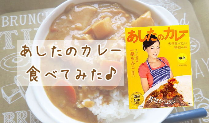あしたのカレー食べてみた Uvレジン店員が教えるハンドメイド作品の作り方 あとりえほのかブログ