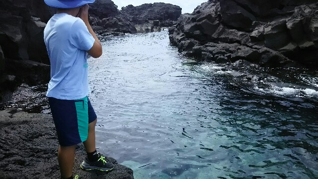 f:id:atisland:20160804150538j:image f:id:atisland:20160804150538j:image