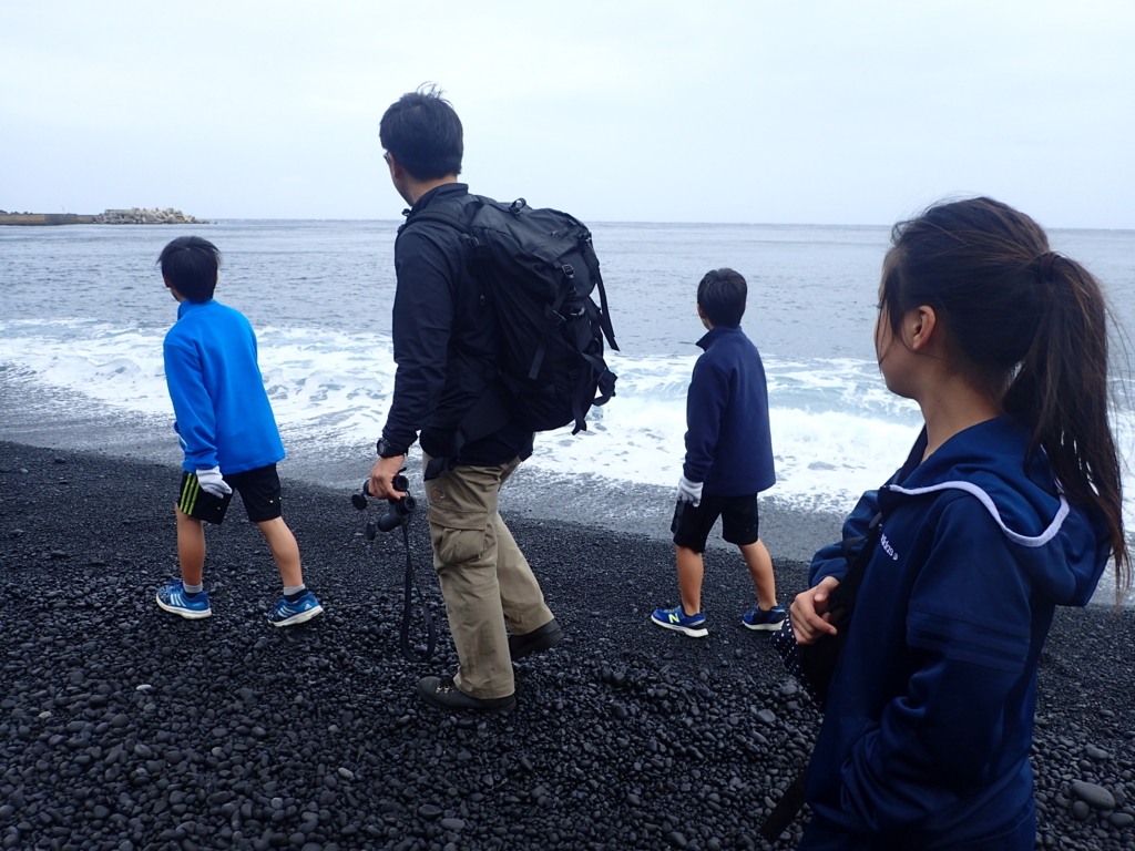 f:id:atisland:20161227230241j:plain f:id:atisland:20161227230241j:plain