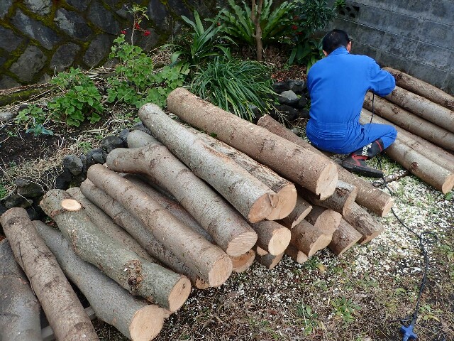 f:id:atisland:20170124125121j:image f:id:atisland:20170124125121j:image