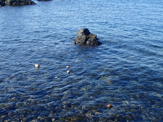 f:id:atisland:20170125214112j:image f:id:atisland:20170125214112j:image