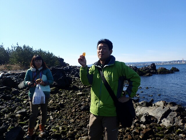 f:id:atisland:20170125214430j:image f:id:atisland:20170125214430j:image