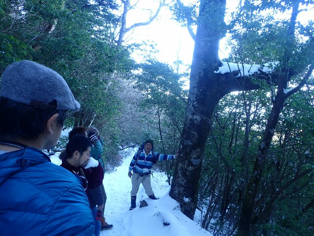 f:id:atisland:20170126233734j:image f:id:atisland:20170126233734j:image