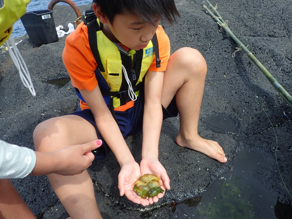 f:id:atisland:20180404145233j:plain