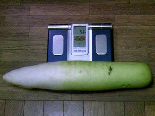 f:id:atius-n:20090223231409j:image