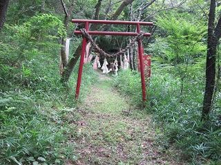 稲荷大明神への参道