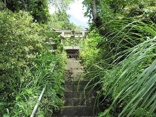 鳥居を見上げる