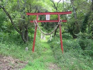 稲荷大明神の鳥居