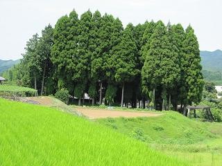 八幡宮の森