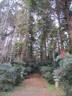 f:id:atius:20101225155250j:image