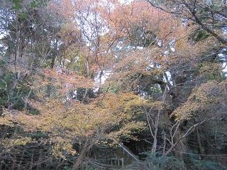 f:id:atius:20101225155617j:image