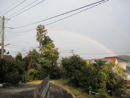 f:id:atius:20131201144841j:image