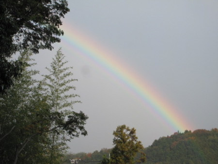 f:id:atius:20131201145129j:image