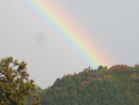 f:id:atius:20131201145214j:image