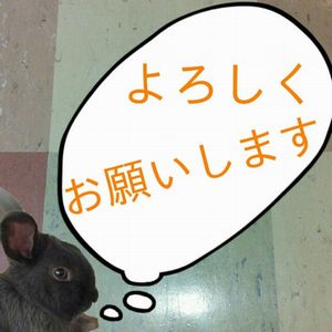 f:id:atleast:20170614235755j:plain
