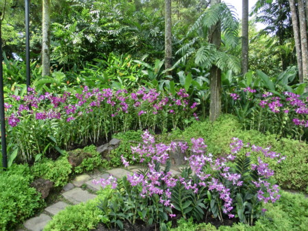 f:id:atnb:20120129133328j:image