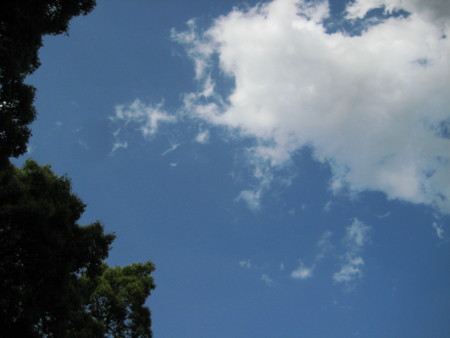 f:id:atnr:20090514154611j:image