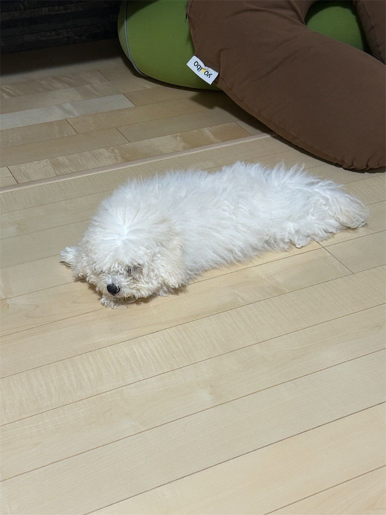 f:id:ato3cm:20260621153020j:image