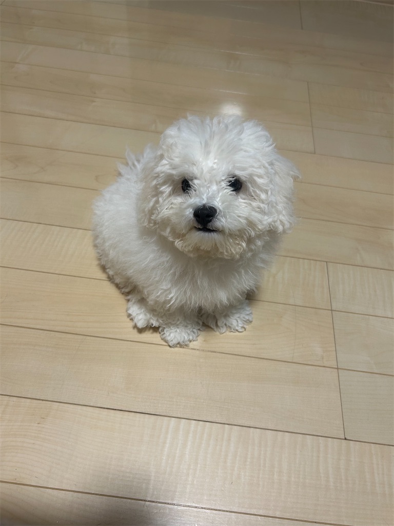f:id:ato3cm:20260621153024j:image