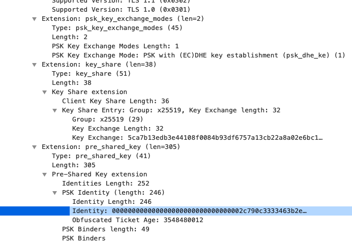 cve-2020-13777-resumption