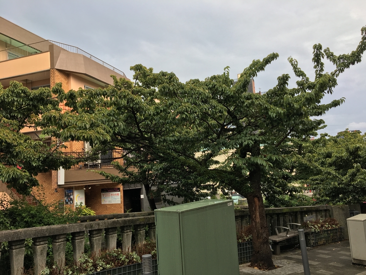 f:id:atoiuma:20190826132254j:plain f:id:atoiuma:20190826132254j:plain