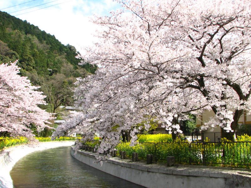 20080408140814