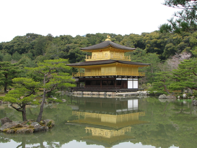 20080409113508