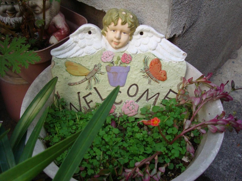 f:id:atom1919:20091030163659j:image