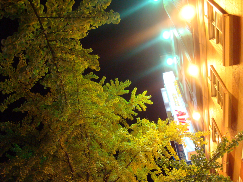 f:id:atom1919:20091126222520j:image