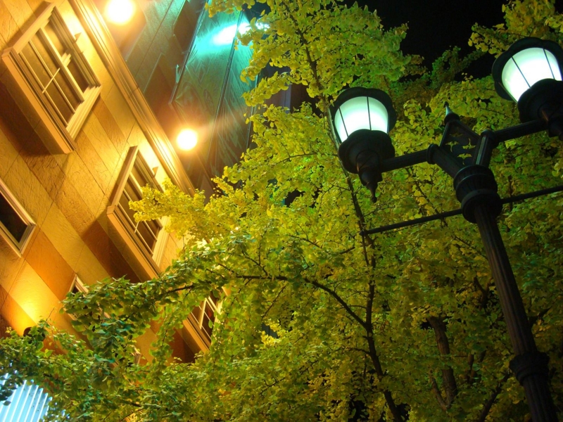 f:id:atom1919:20091126222552j:image