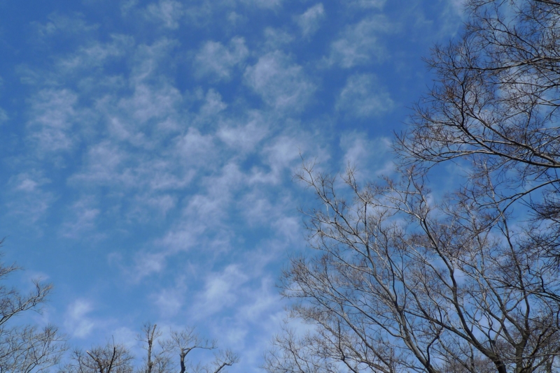 f:id:atom1919:20100221141306j:image