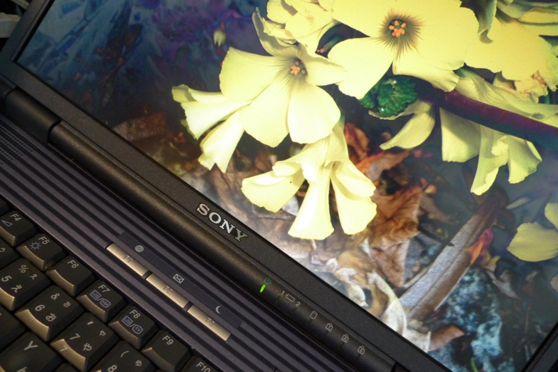 f:id:atom1919:20100318113518j:image f:id:atom1919:20100318113518j:image