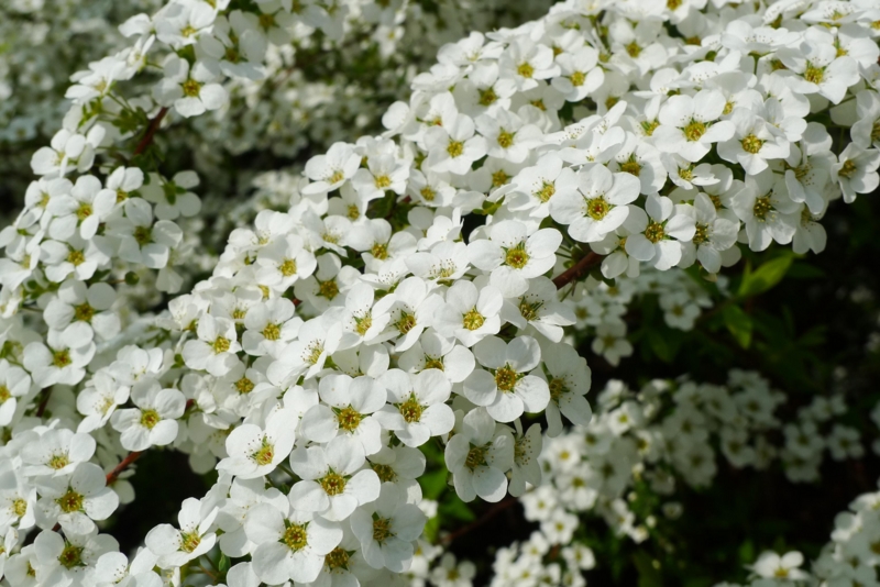 f:id:atom1919:20100320094547j:image