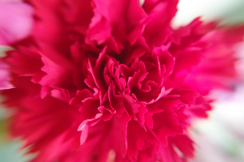 f:id:atom1919:20100325145516j:image