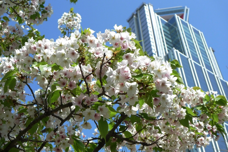 f:id:atom1919:20100410134057j:image