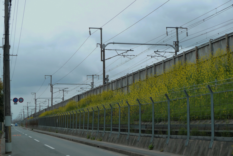 f:id:atom1919:20100415130056j:image