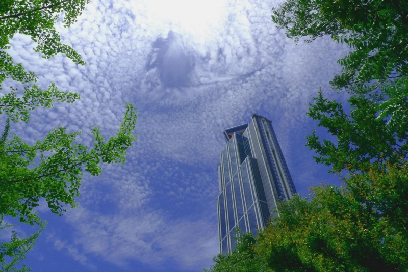 f:id:atom1919:20100529123504j:image