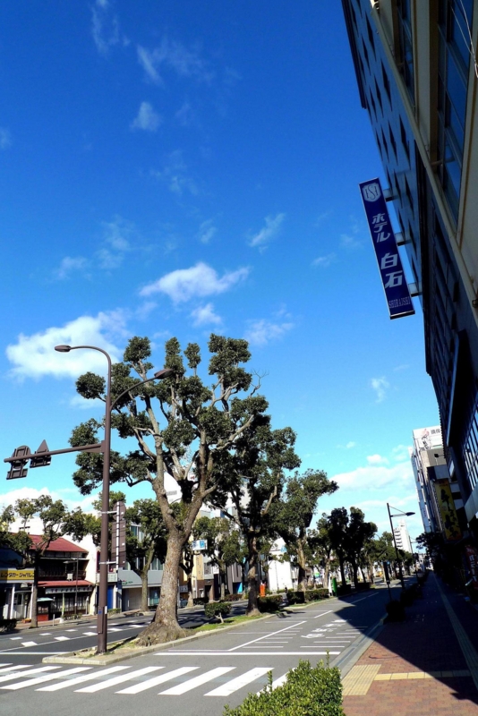 f:id:atom1919:20110102141622j:image