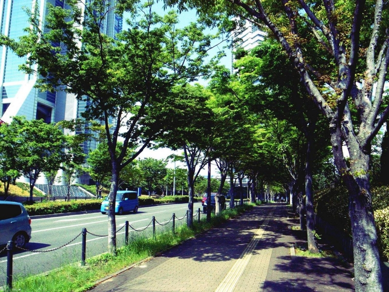 f:id:atom1919:20110508141629j:image