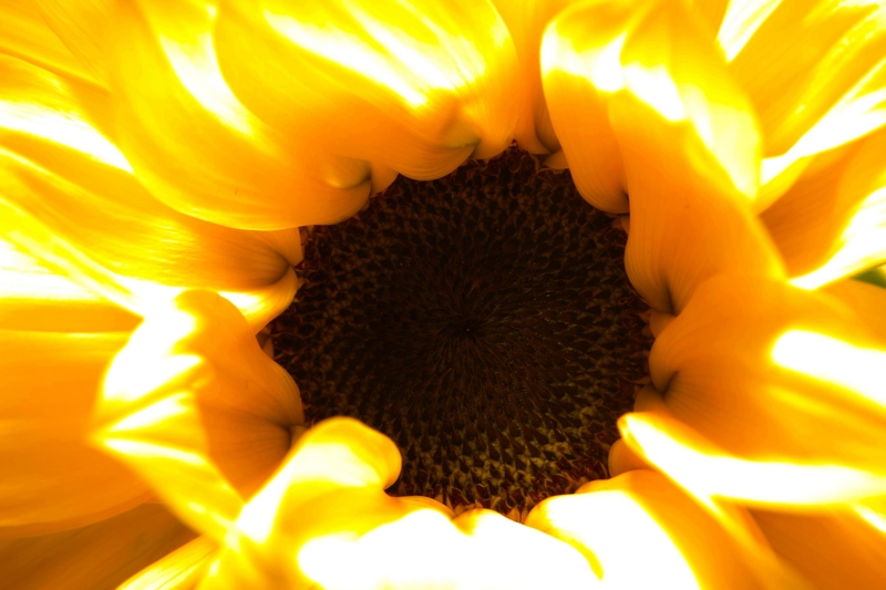 f:id:atom1919:20120330044833j:image