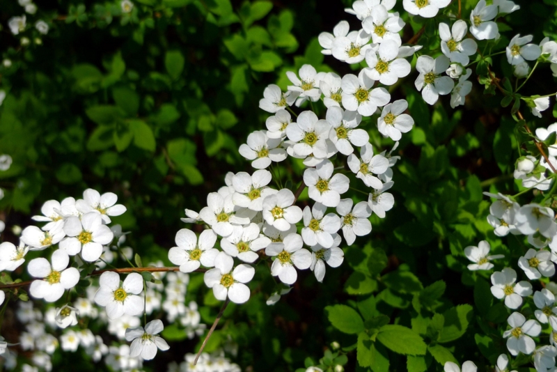 f:id:atom1919:20120408085501j:image